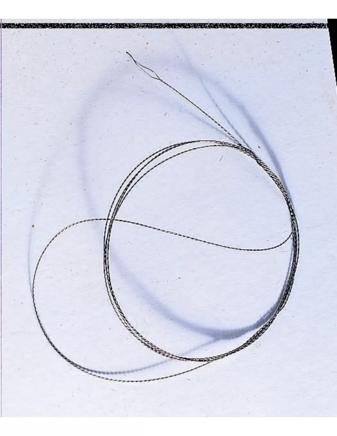 SENSAS ELASTIEK TREKKER 3 SENSAS ELASTIEK TREKKER