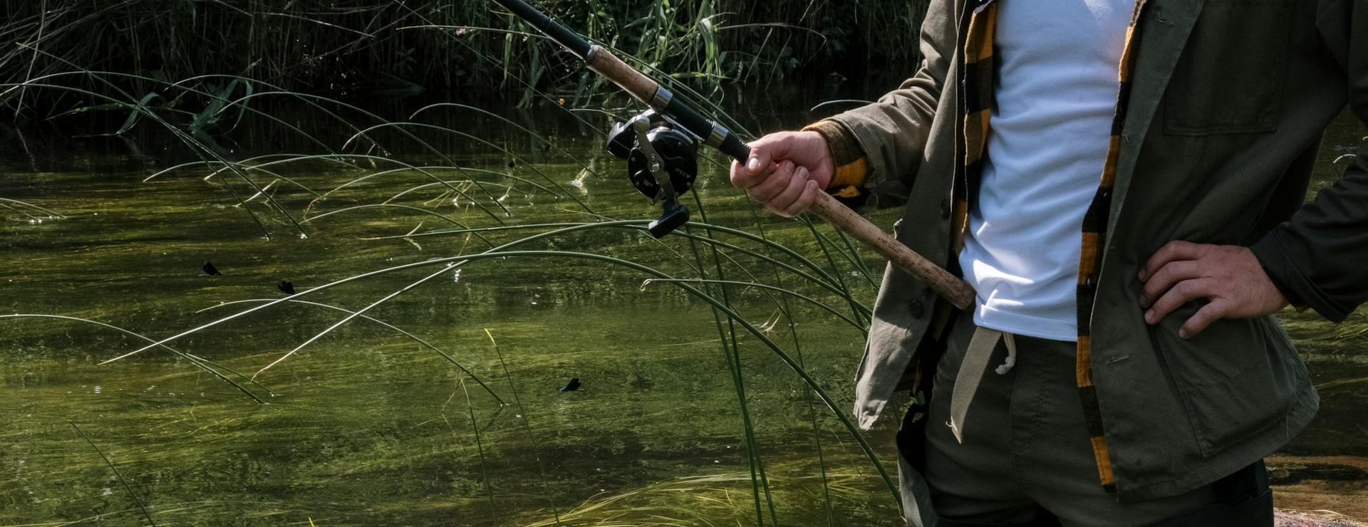 Kwaliteitswinkel Voor Visbenodigdheden -Kwaliteitswinkel Voor Visbenodigdheden pexels cottonbro 4828229